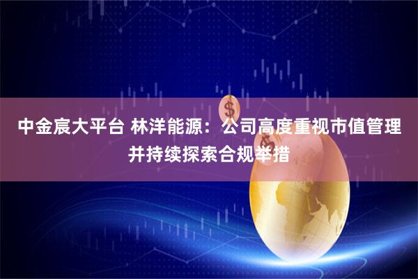 中金宸大平台 林洋能源：公司高度重视市值管理并持续探索合规举措