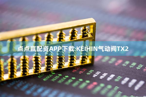 点点赢配资APP下载 KEIHIN气动阀TX2