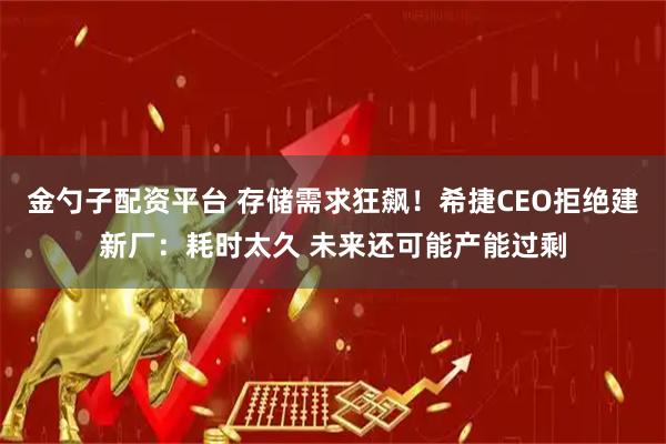 金勺子配资平台 存储需求狂飙！希捷CEO拒绝建新厂：耗时太久 未来还可能产能过剩